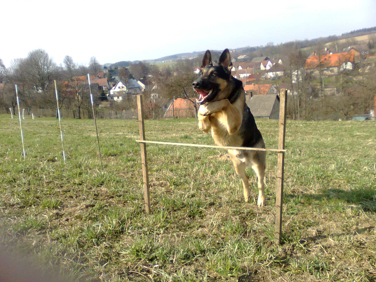 Obraz0704
