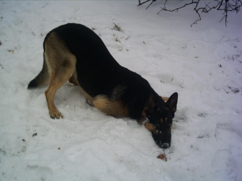 hranicko_4_